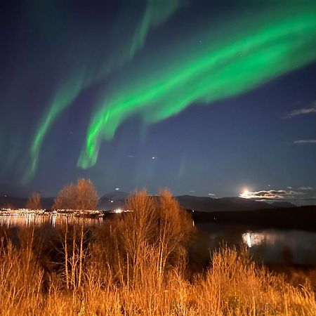 Вилла Aurora North Тромсё Экстерьер фото